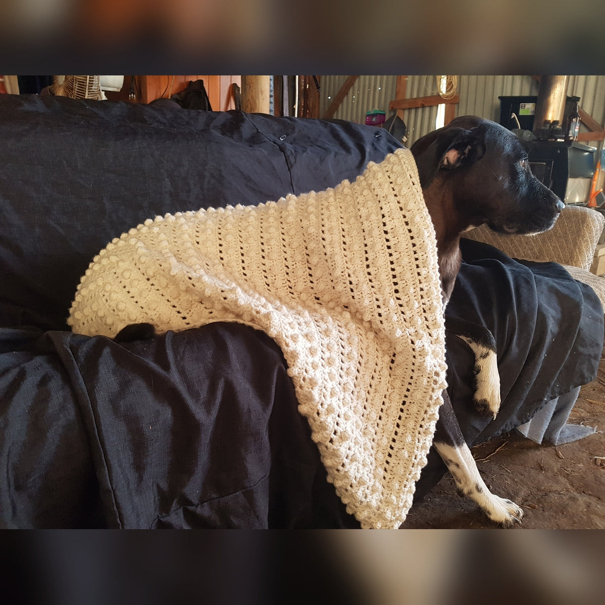 Lacy Bobble Wrap Wool2Wear™