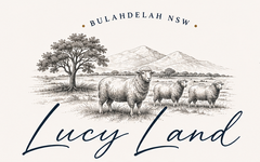 Lucy Land Farm - Home